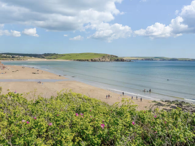 Bigbury beach swimmers