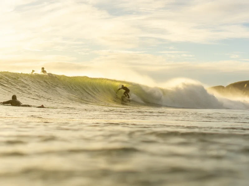 Surfing